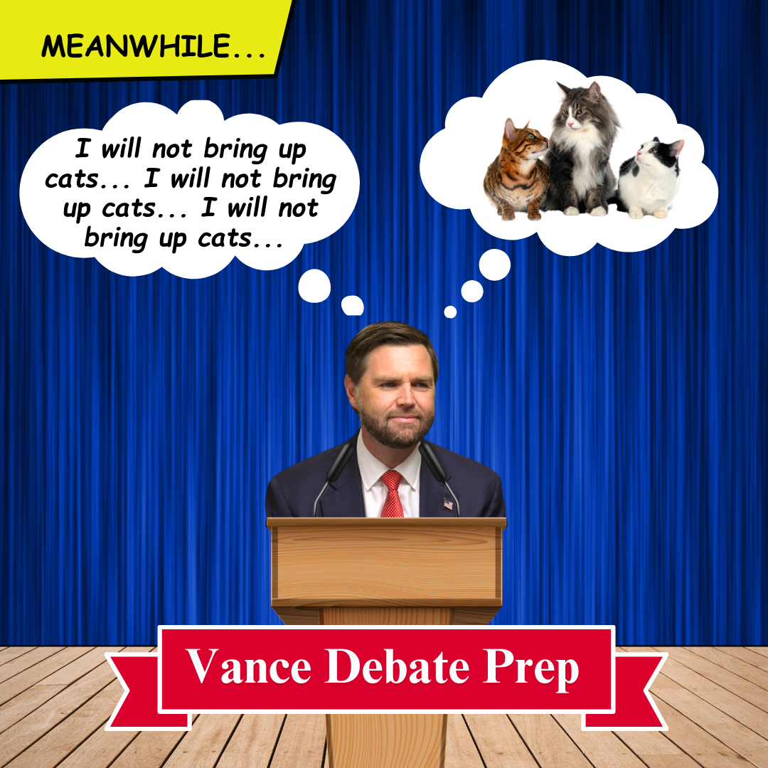 Debate_Meme_cats_.png